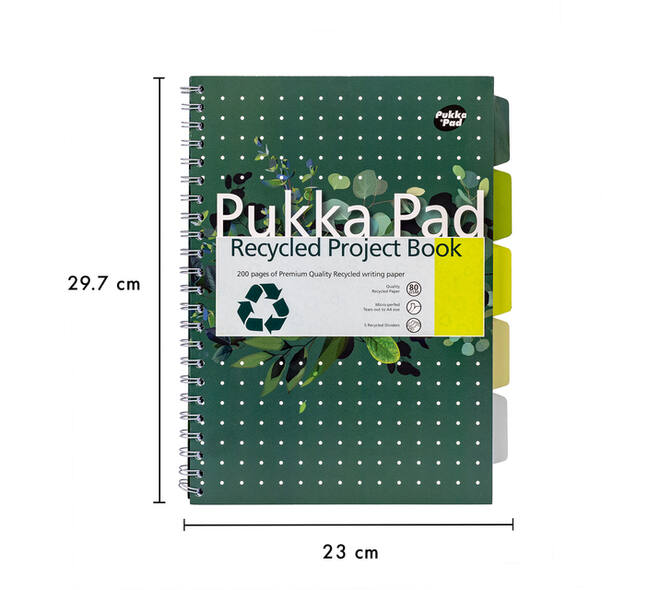 Projectboek Pukka Pad Recycled A4 lijn 5-tabs 4-gaats 200 pagina's 80gr groen