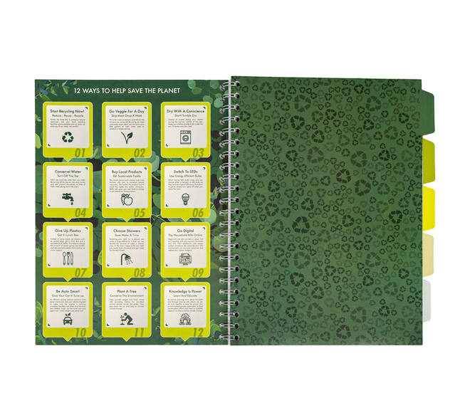 Projectboek Pukka Pad Recycled A4 lijn 5-tabs 4-gaats 200 pagina's 80gr groen