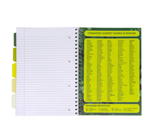 Projectboek Pukka Pad Recycled A4 lijn 5-tabs 4-gaats 200 pagina's 80gr groen