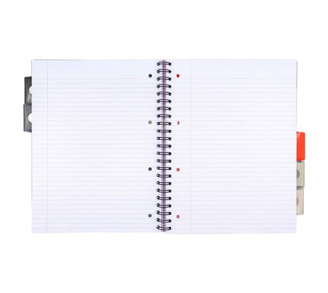 Projectboek Pukka Pad Metallic Executive A4 lijn 5-tabs 4-gaats 200 pagina's 80gr assorti