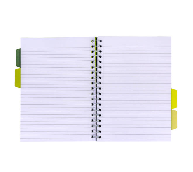 Projectboek Pukka Pad Recycled B5 lijn 4-tabs 200 pagina's 80gr groen
