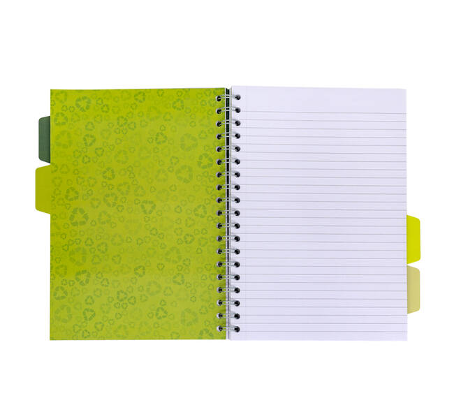 Projectboek Pukka Pad Recycled B5 lijn 4-tabs 200 pagina's 80gr groen