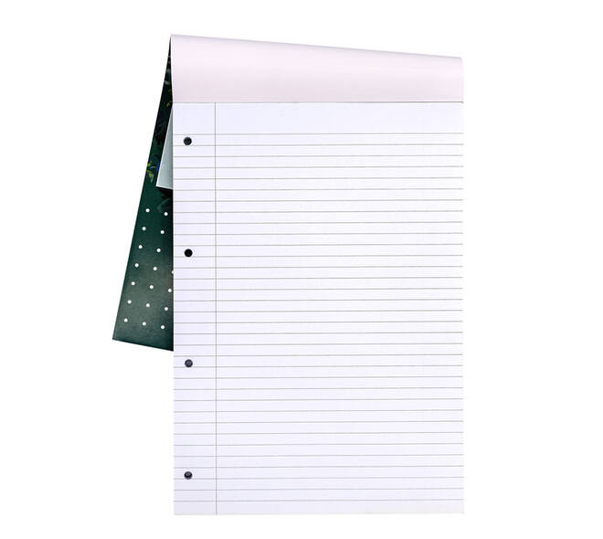 Schrijfblok Pukka Pad Recycled A4 lijn 4-gaats 100 vel 80gr