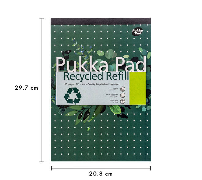 Schrijfblok Pukka Pad Recycled A4 lijn 4-gaats 100 vel 80gr