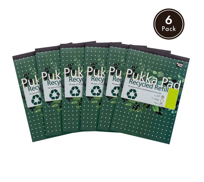 Schrijfblok Pukka Pad Recycled A4 lijn 4-gaats 100 vel 80gr