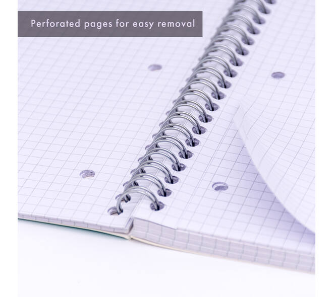 Collegeblok Pukka Pad Jotta A4 ruit 5x5mm 4-gaats 200 pagina's 80gr groen