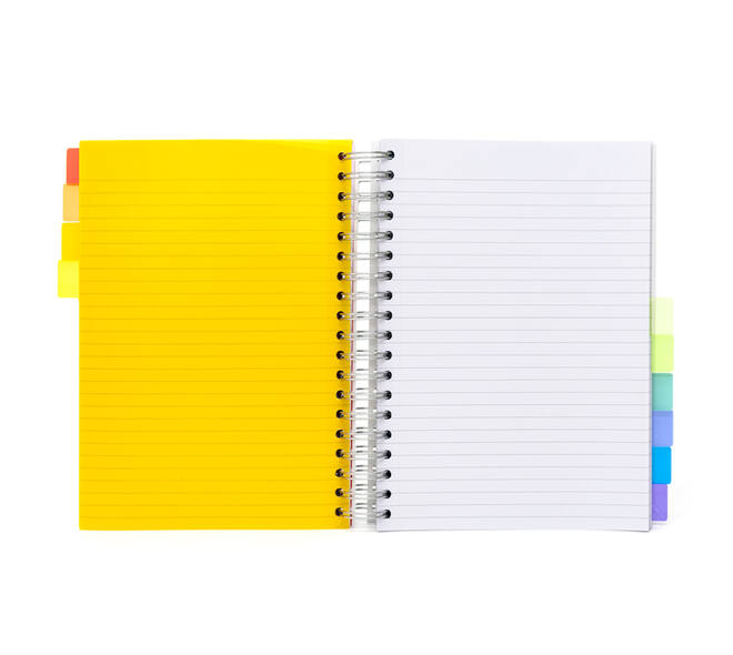 Projectboek Pukka Pad White B5 lijn 10-tabs 400 pagina's 80gr
