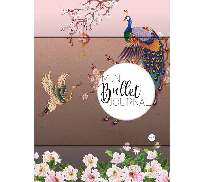 Mijn Bullet Journal Japan 240 dots 240 pagina's