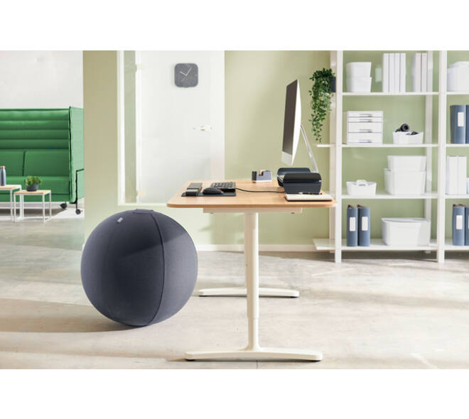 Actieve zitbal Leitz Ergo 75cm anti-rol donkergrijs