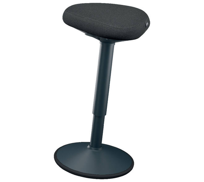 Actieve zit-stakruk Leitz Ergo met gasveer 57-82cm zwart