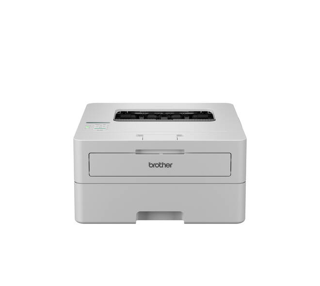 Printer Laser Brother HL-L2865DW