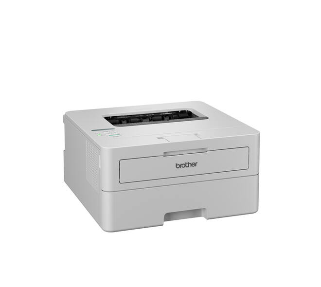 Printer Laser Brother HL-L2865DW