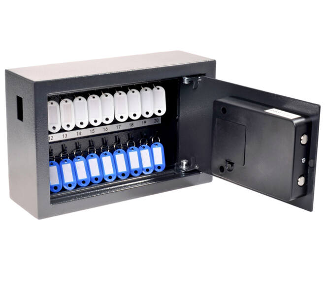 Sleutelkast Pavo High security Advanced 20 haken 200x310x100mm