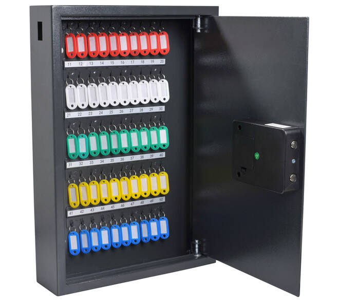 Sleutelkast Pavo High security Advanced 50 haken 550x380x100mm