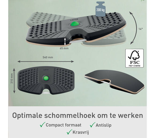 Balansbord Leitz Ergo actief