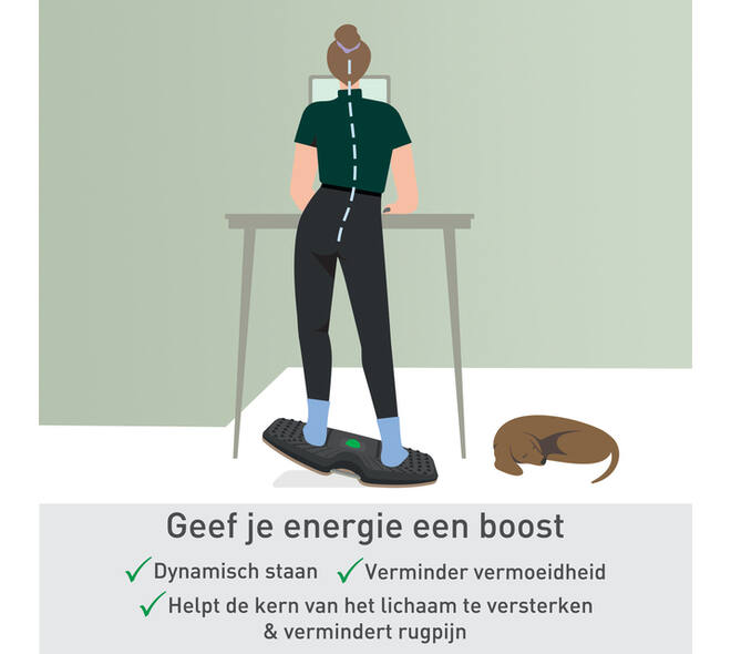 Balansbord Leitz Ergo actief
