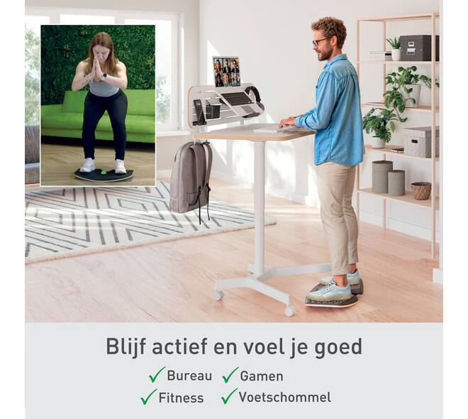 Balansbord Leitz Ergo actief