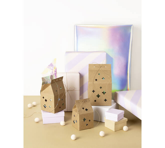 Giftbox Folia Star kraft set à 6 stuks