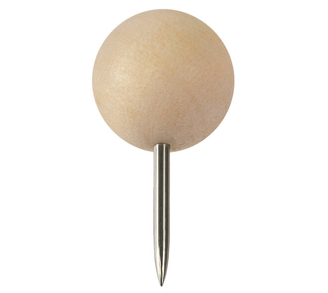 Punaises Nobo hout voor memobord 40 stuks