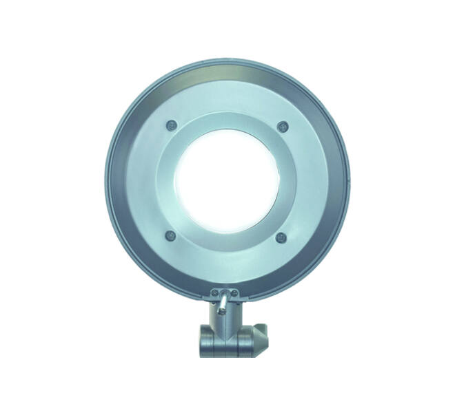 Bureaulamp MAUL Business LED zilver