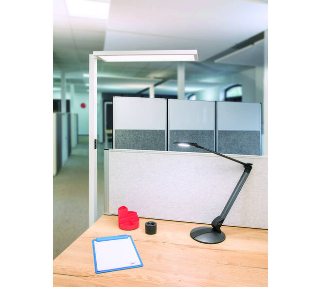 Vloerlamp MAUL Senja LED beweging- daglichtsensor dimbaar wit