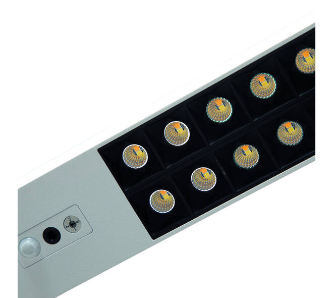 Werkpleklamp tafelklem MAUL Sirius LED beweging- daglichtsensor dimbaar wit