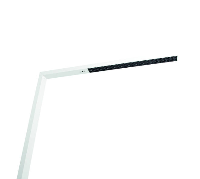 Werkpleklamp tafelklem MAUL Sirius LED beweging- daglichtsensor dimbaar wit