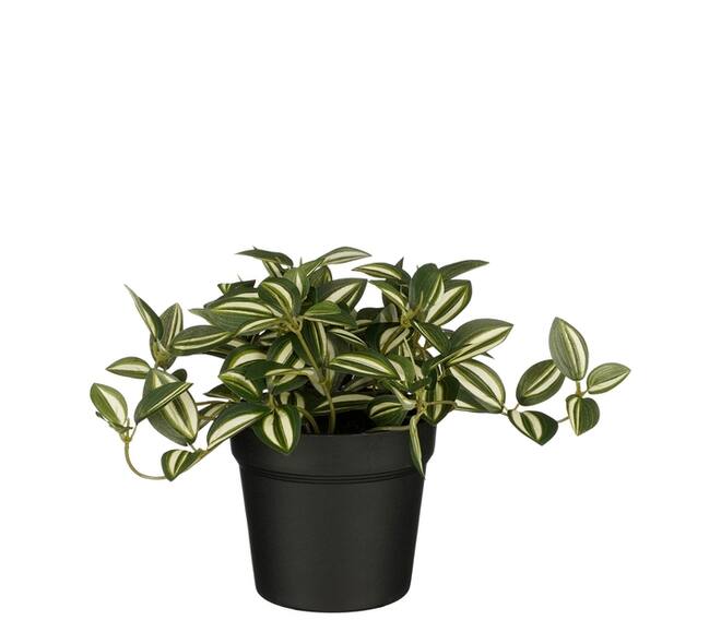 Kunstplant Mica Tradescantia in pot groen 16x16cm