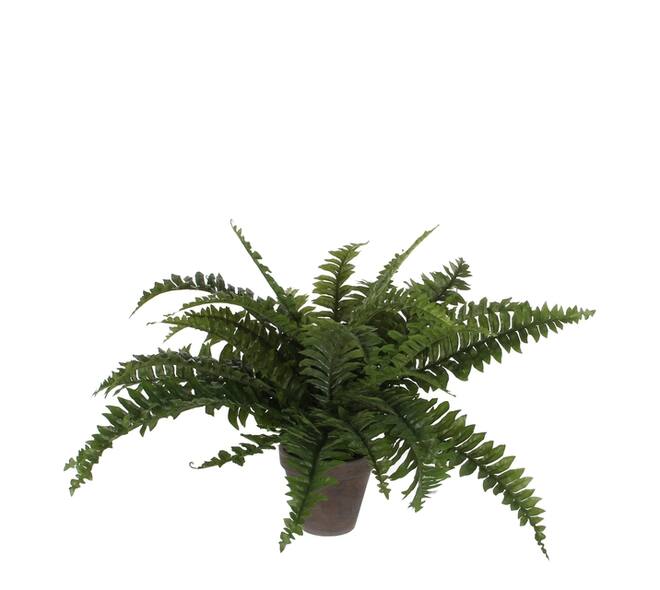 Kunstplant Mica Boston varen groen in pot Ø50cm 42cm
