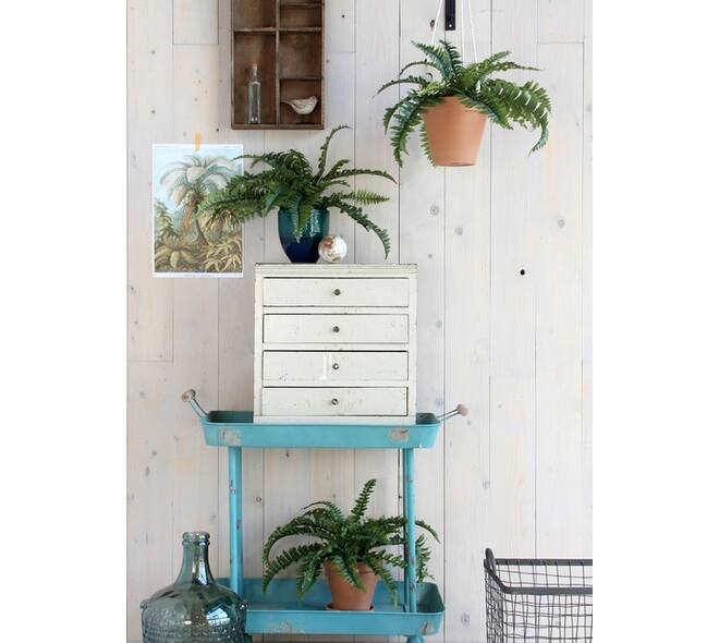 Kunstplant Mica Boston varen groen in pot Ø50cm 42cm