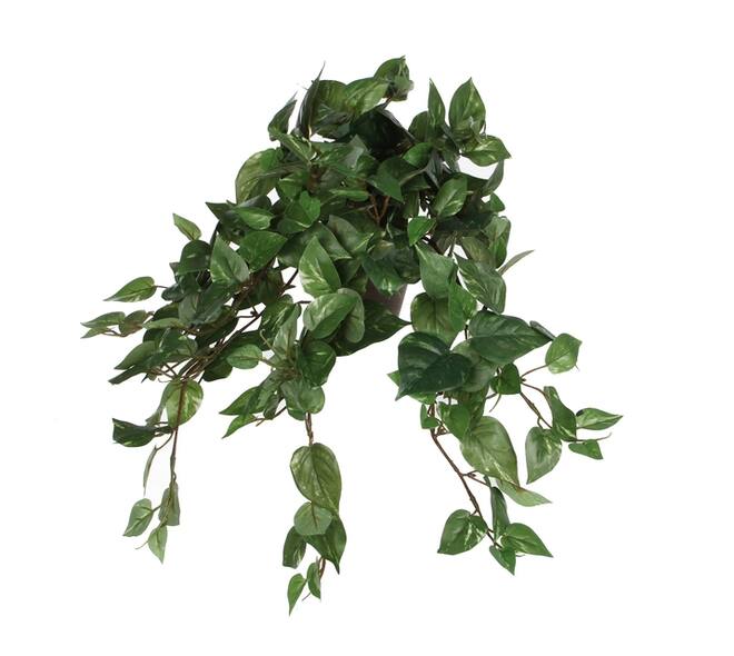 Kunstplant Mica Scindapsus hangend groen Ø25 45cm