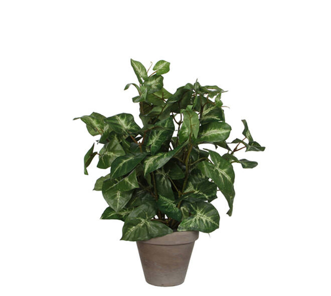 Kunstplant Mica Syngonium groen in pot Ø25 35cm