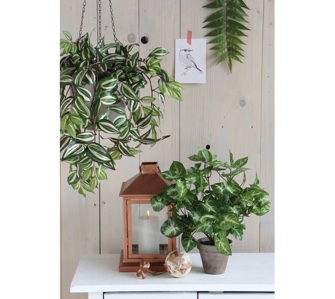 Kunstplant Mica Syngonium groen in pot Ø25 35cm