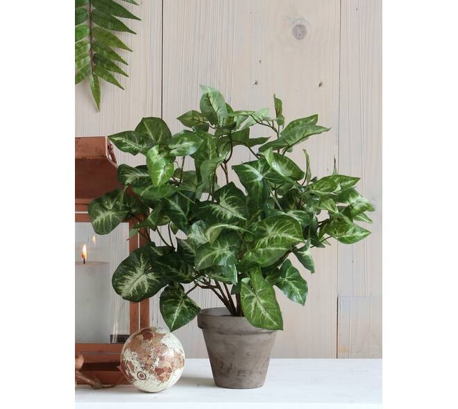 Kunstplant Mica Syngonium groen in pot Ø25 35cm