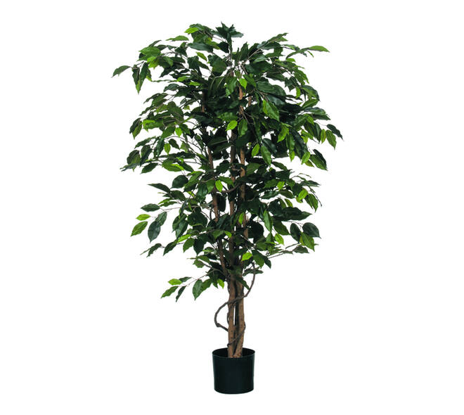 Kunstplant Mica Ficus groen in plastic pot Ø85 150cm
