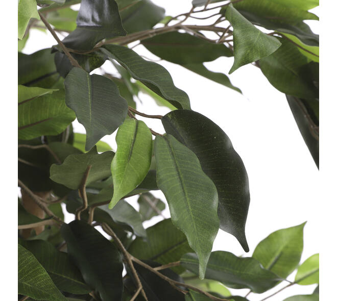 Kunstplant Mica Ficus groen in plastic pot Ø85 150cm