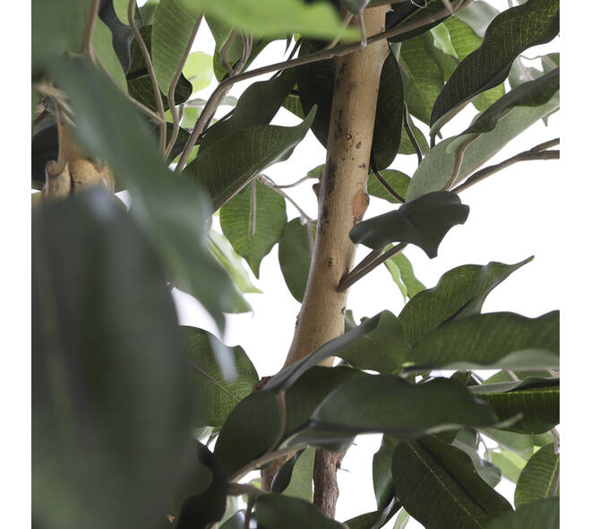 Kunstplant Mica Ficus groen in plastic pot Ø85 150cm