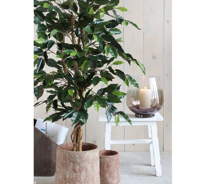 Kunstplant Mica Ficus groen in plastic pot Ø85 150cm