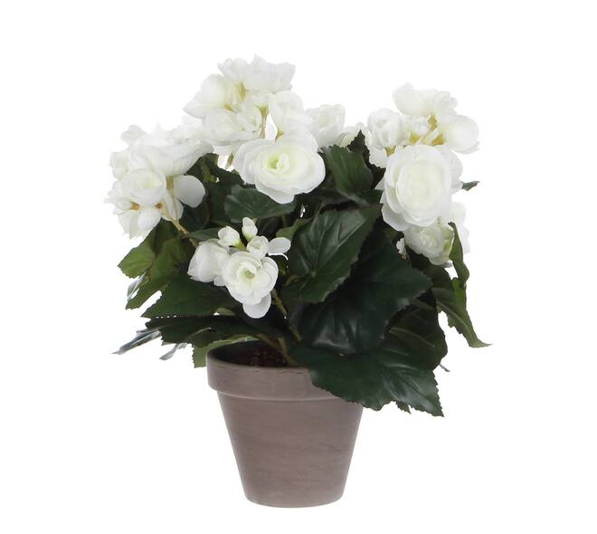 Kunstplant Mica Begonia wit in pot Stan grijs Ø25 30cm