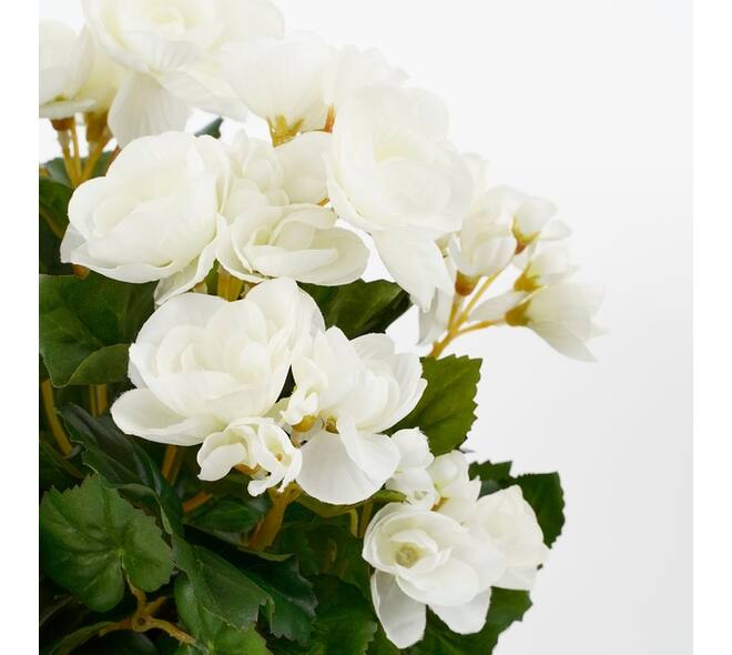 Kunstplant Mica Begonia wit in pot Stan grijs Ø25 30cm