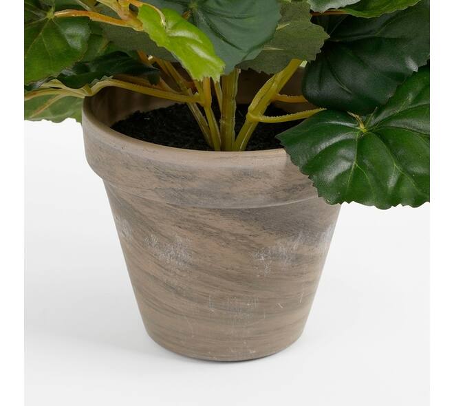 Kunstplant Mica Begonia wit in pot Stan grijs Ø25 30cm