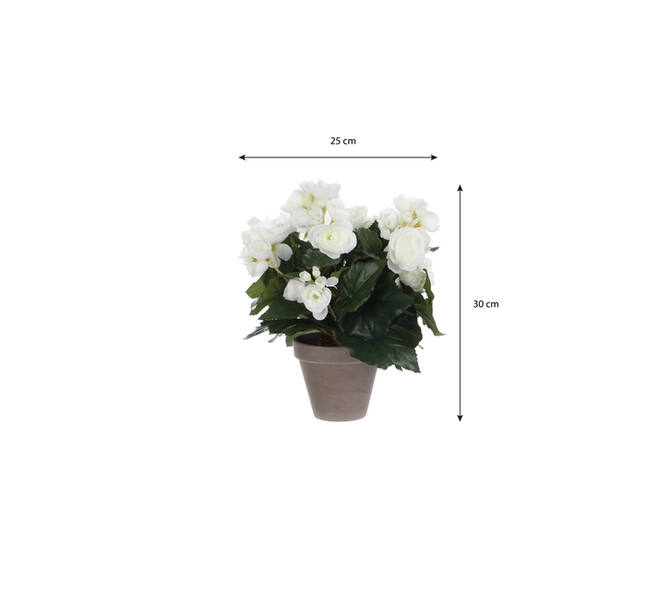 Kunstplant Mica Begonia wit in pot Stan grijs Ø25 30cm