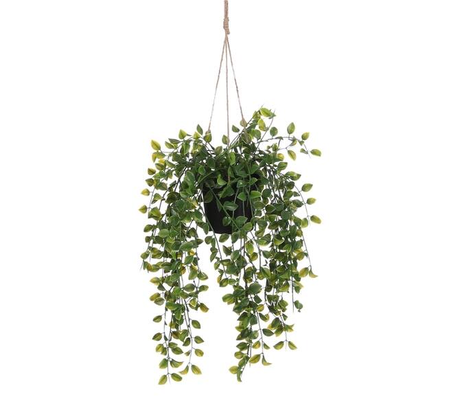 Kunstplant Mica Ficus hangend in pot groen Ø20 46cm