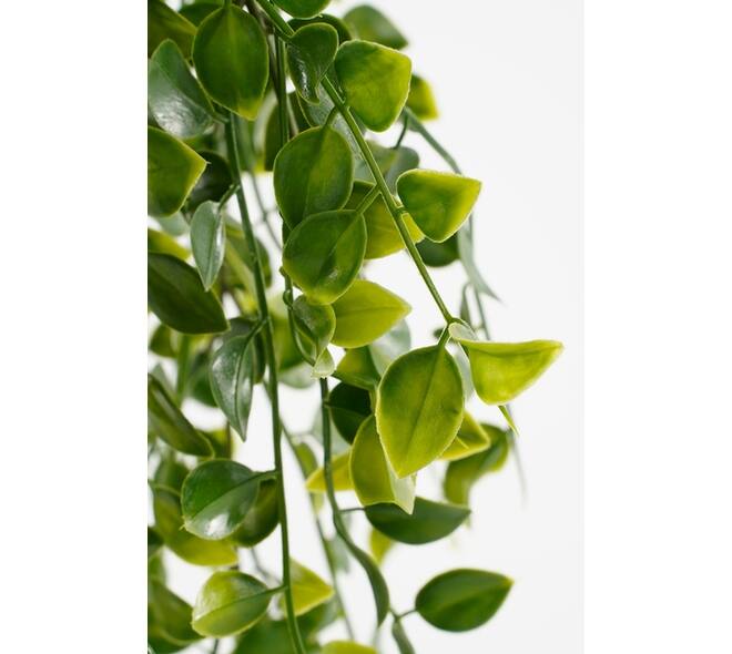 Kunstplant Mica Ficus hangend in pot groen Ø20 46cm