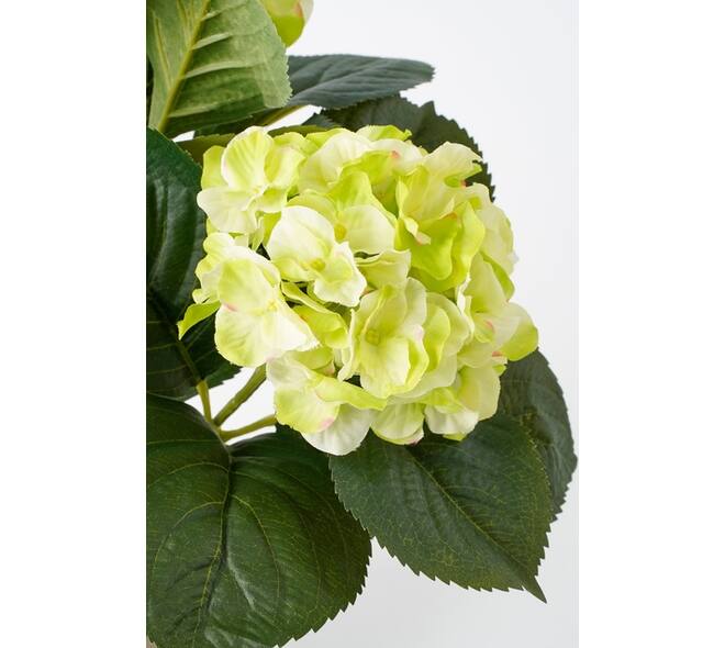 Kunstplant Mica Hortensia in pot groen Ø35 40cm