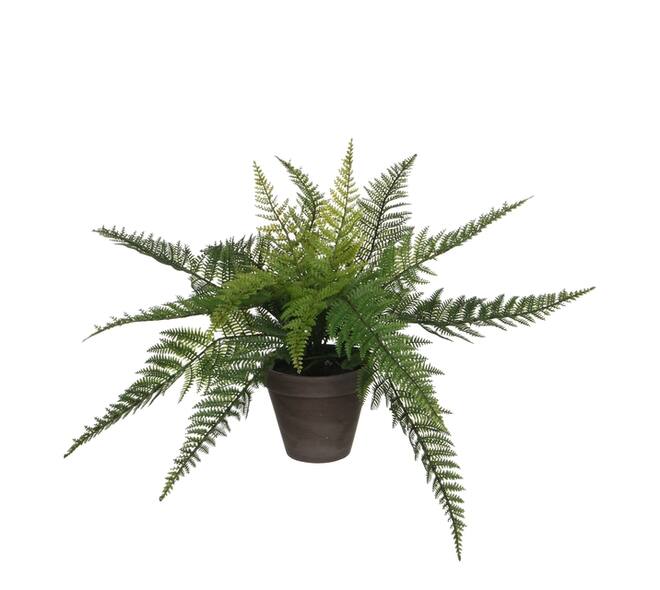 Kunstplant Mica varen groen in pot Stan grijs Ø50 38cm