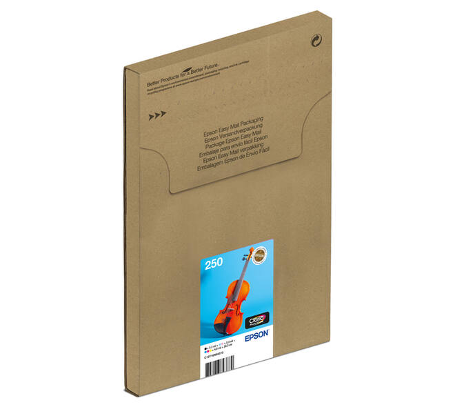 Inktcartridge Epson 250 T16N84 zwart  + 5 kleuren  Easymail