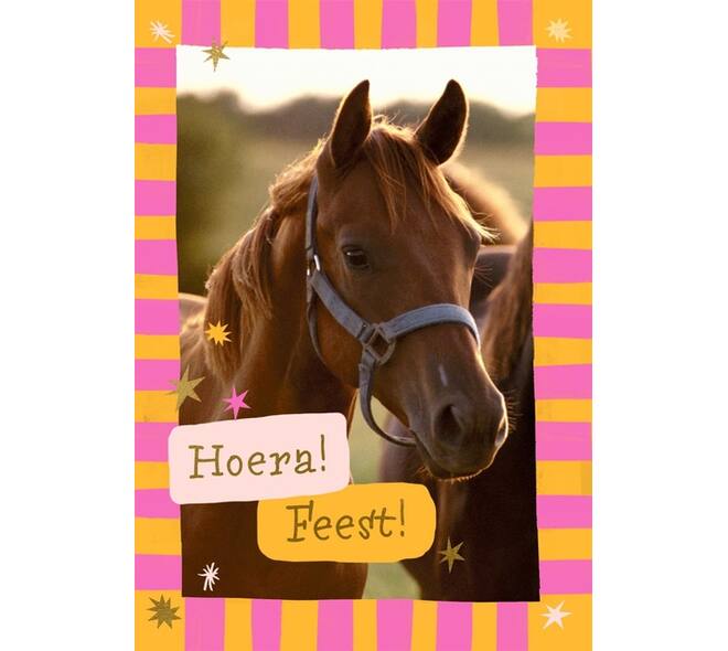 Wenskaart Hallmark uitnodiging paarden pak à 6 stuks
