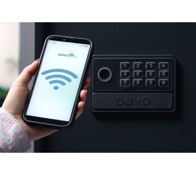 Sleutelkast Pavo High security Smart 50 haken 550x380x100mm