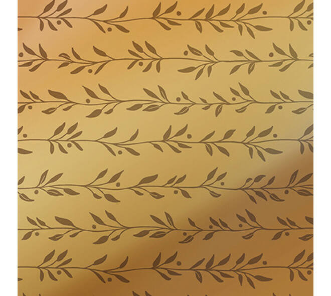 Inpakpapier Rotolux Paris 150x70cm assorti